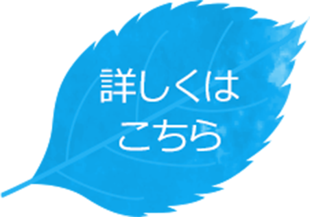 詳しくはこちら
