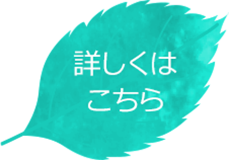 詳しくはこちら