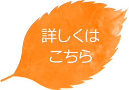 詳しくはこちら