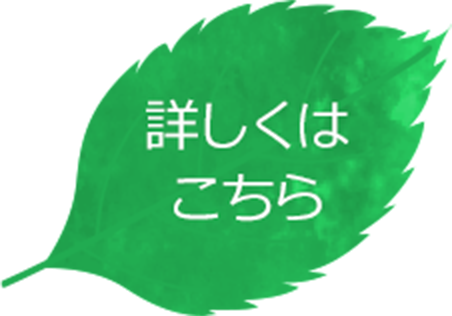 詳しくはこちら
